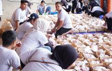 Askrindo Salurkan 59 Hewan Kurban ke 30 Kota Indonesia