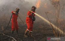 BPBD Riau Berjibaku Padamkan Karhutla di Rokan Hilir dan Dumai, Titik Panas Terus Bertambah