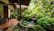 7 Teras Rumah dengan Tanaman Suplir dan Kolam Mini, Hadirkan Suasana Sejuk Setiap Hari