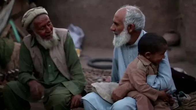 Film Walnut Tree (Istimewa)