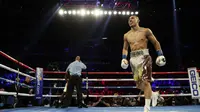 Teofimo Lopez saat bertanding melawan Richard Comme di Las Vegas, 2019 lalu (AL BELLO/AFP)
