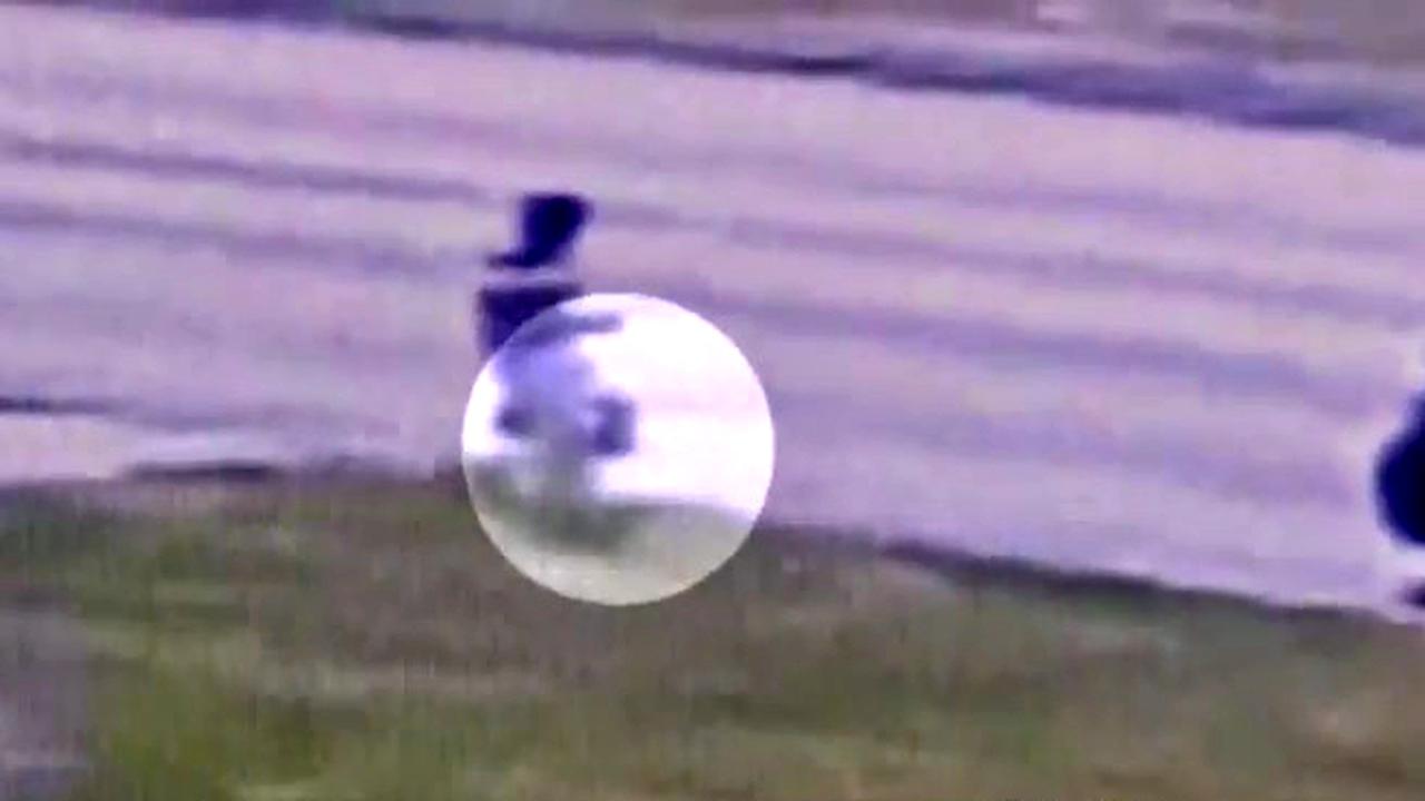 Bungkusan Uang 1,9 Miliar Rupiah Terbengkalai di Pinggir Jalan