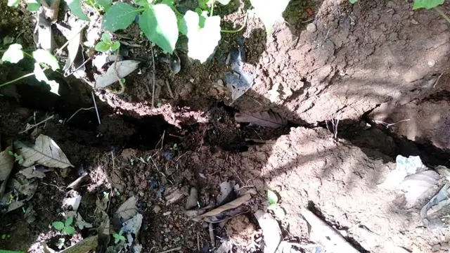 Retakan tanah muncul di tengah permukiman warga Desa Ujungbarang Kecamatan Majenang, Cilacap. (Foto: Liputan6.com/BPBD Cilacap/Muhamad Ridlo)