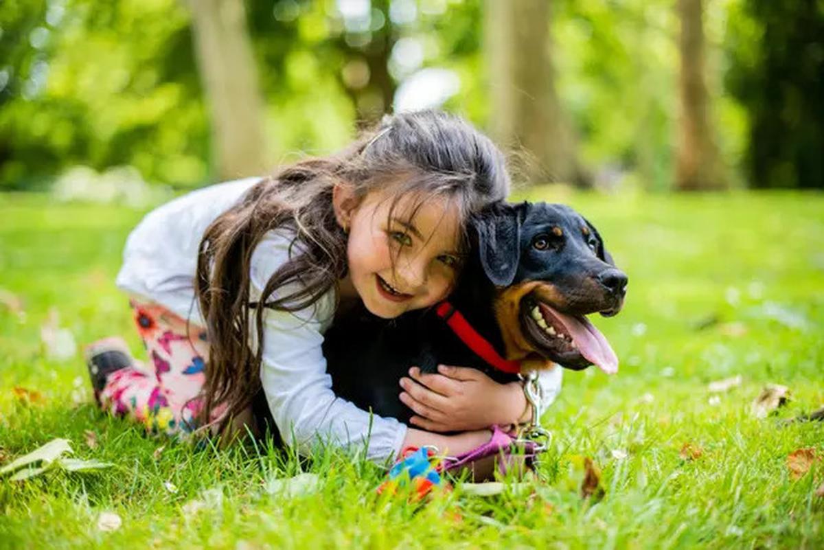 Miris, Bocah di Thailand Ditemukan Hidup Bersama Anjing dan Cuma Bisa Menggonggong