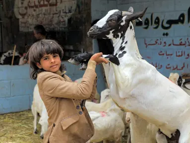 Seorang anak memegang kaki depan kambing di pasar ternak di Sanaa, Yaman, Rabu (14/7/2021). Orang-orang membeli perbekalan untuk persiapan perayaan Idul Adha. (MOHAMMED HUWAIS/AFP)