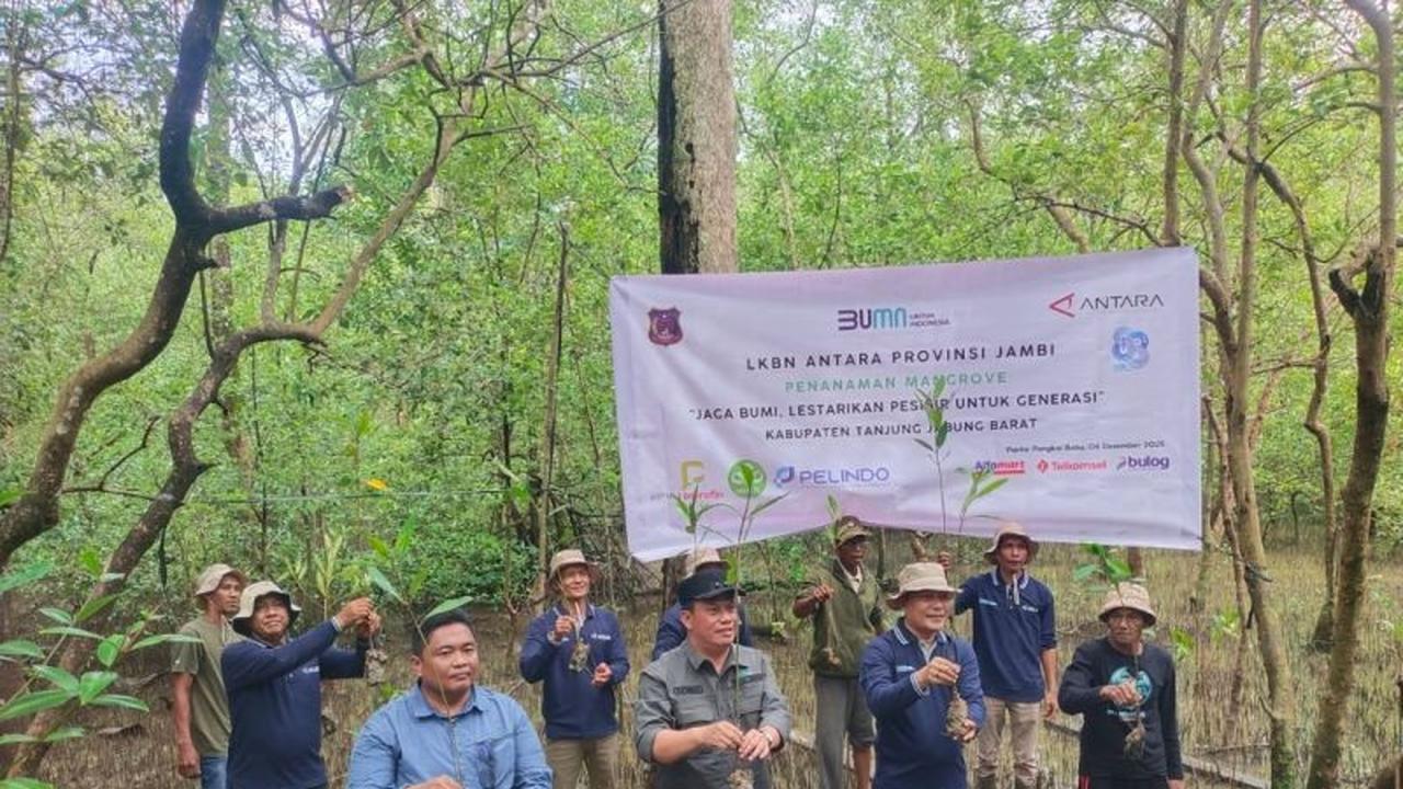 Perum LKBN Antara dan Pemkab Tanjabbar Kolaborasi Penanaman Mangrove di Pangkal Babu