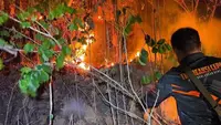 Kebakaran Hutan Pinus Butak Meluas, Api Mendekati Permukiman