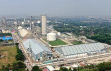 Resmi, Pupuk Indonesia dan Chevron Sepakat Kembangkan Teknologi Penangkapan Karbon