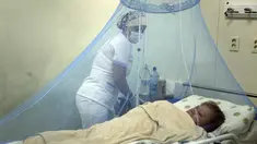 Perawat Liz Cabanas merawat seorang pria yang terinfeksi chikungunya di Rumah Sakit Clinicas di San Lorenzo, Paraguay, Jumat (3/3/2023). Pengawasan Kesehatan menyatakan bahwa dalam tiga minggu terakhir lebih dari 1200 kasus penyakit yang ditularkan oleh nyamuk telah terjadi. telah dilaporkan. (AP Photo/Jorge Saenz)