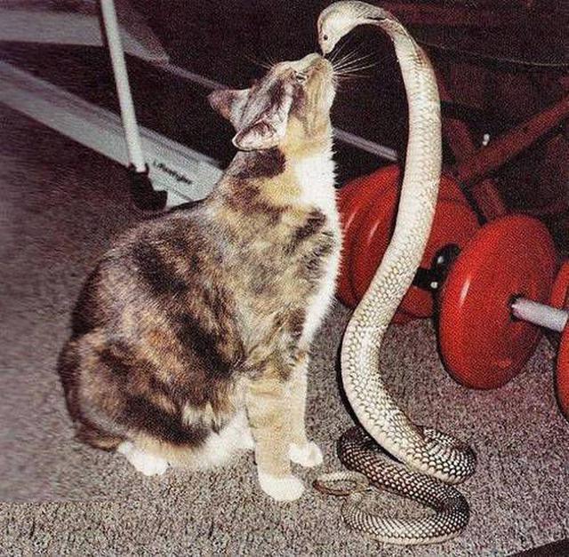 1. Prioritaskan Keselamatan