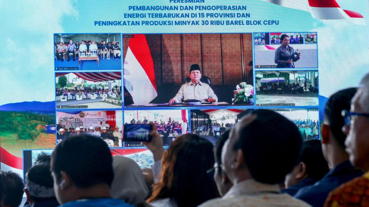 Presiden Prabowo Resmikan 55 Proyek Pembangkit EBT, Salah Satunya Program Lisdes PLN