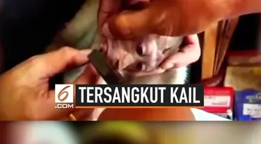 Warga menemukan seekor bayi monyet meringis kesakitan di sekitar pasar Lopburi, Thailand. Sebuah kail menyangkut di bagian lidah monyet tersebut.