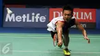Tunggal putra Indonesia, Ihsan Maulana M mengejar bola saat laga melawan pemain Malaysia Lee Chong Wei di semifinal BCA Indonesia Open 2016, Jakarta, Sabtu (4/6/2016). Ihsan kalah dua set langsung 9-21, 18-21. (Liputan6.com/Helmi Fithriansyah)