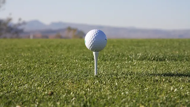 Ilustrasi bola golf (pixabay)