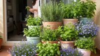 Cara Membuat Kebun Wangi yang Sekaligus Usir Nyamuk, Rumah Jadi Lebih Segar dan Nyaman