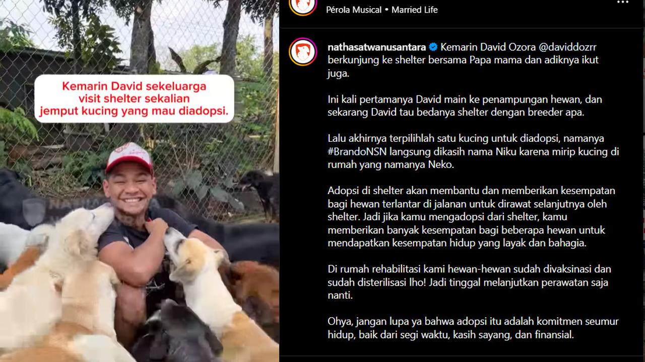 David Ozora Adopsi Kucing dan dikerumuni Anjing-anjing Shelter, Kampanyekan #AdoptDontShop