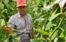 Fakta Unik Emas Hijau Antam: Bidik 93% Energi Terbarukan untuk Produksi Ramah Lingkungan