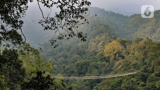 Berwisata ke Jembatan Gantung Terpanjang se-Asia Tenggara di Kala Pandemi