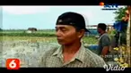 Curah hujan tinggi beberapa hari terakhir di Jawa Timur, membuat lahan pertanian tanaman melon dan semangka terendam banjir di Lamongan. Kondisi yang sama juga terjadi di Pacitan, akibat lahan pertanian terendam banjir.