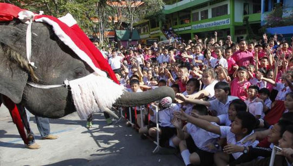 Gajah berkostum Santa Claus hibur para siswa di Bangkok