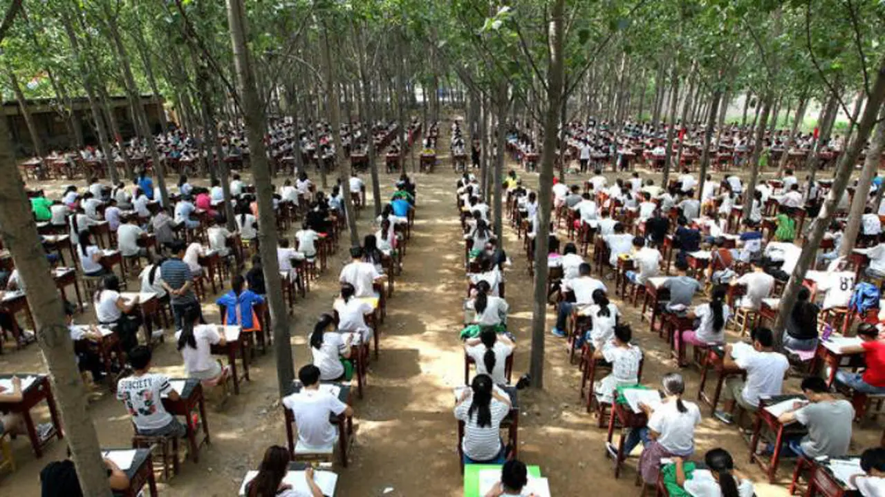 Cegah Siswa Stress, 800 Siswa Ujian di Hutan