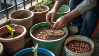 Cara Menanam Kacang Tanah Menggunakan Wadah Bekas untuk Panen di Rumah