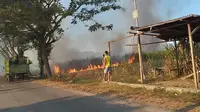 Proses pembakaran lahan tebu oleh PT. PG Gorontalo. Dok. ist (Arfandi Ibrahim/Liputan6.com)