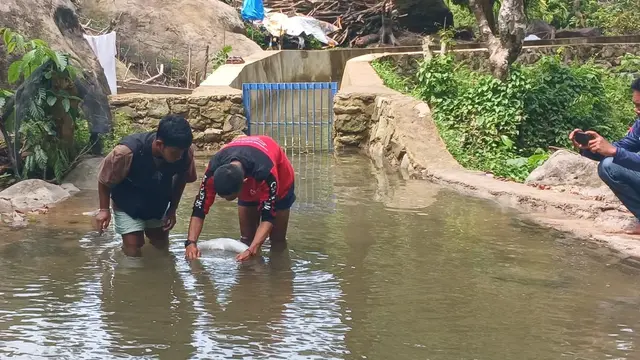 Pemanfaatan air terjun Lubuk Hitam, Padang.