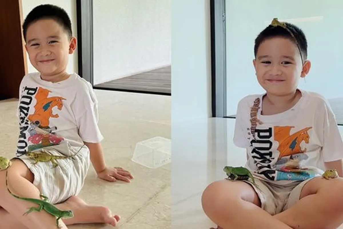 Kumpulan Hewan Piaraan Anak Citra Kirana dan Rezky Aditya. (instagram/citraciki, TikTok/CitraKirana)