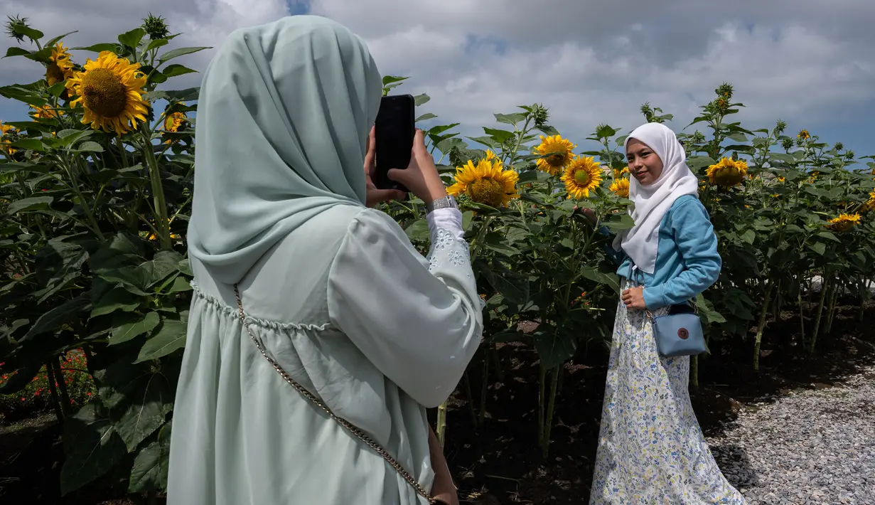 Seorang wanita Muslim berpose dengan bunga matahari di taman bunga matahari di Bagan Datuk, Malaysia (17/3/2021). Ratusan pengunjung datang ke taman ini setiap hari untuk foto dan menikmati aktivitas lain seperti memberi makan ikan dan itik yang terdapat di taman tersebut. (AFP/Mohd Rasfan)