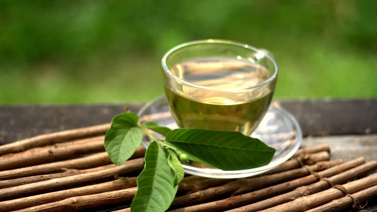 Teh daun jambu Biji