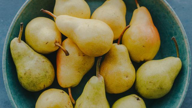 Ilustrasi buah pir