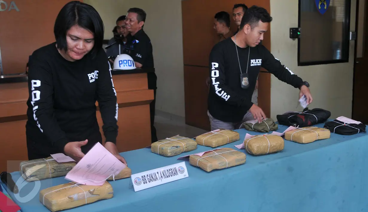 Petugas menata barang bukti saat merilis kasus narkoba di  Polres Pelabuhan Tanjung Priok, Jakarta, Selasa (29/12). Barang bukti yang berhasil diamankan petugas pada kasus pencurian narkoba berupa ganja seberat 7,5 kg. (Liputan6.com/Gempur M Surya)