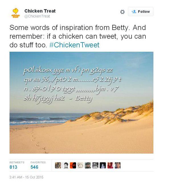copyright Twitter/Chicken Treat