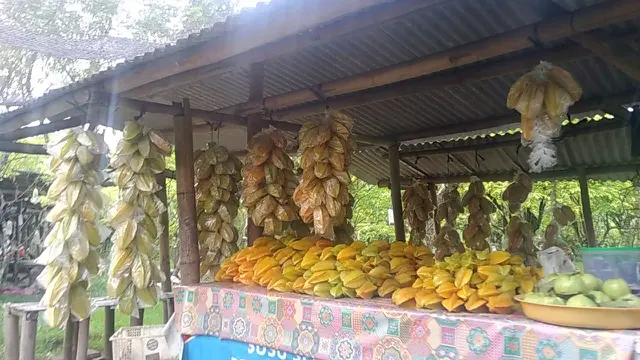 Petani Belimbing