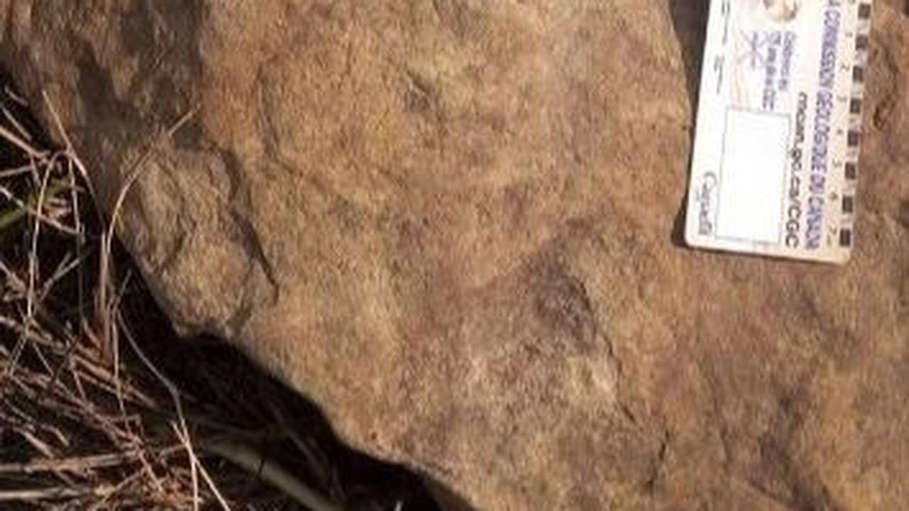 Ini Sosok Penemu Fosil Dinosaurus Pertama Kali, 500 Tahun Lebih Dulu dari Ilmuwan Inggris