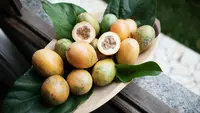 7 Jenis Pohon Buah yang Tidak Ada Ulatnya, Aman Ditanam di Rumah
