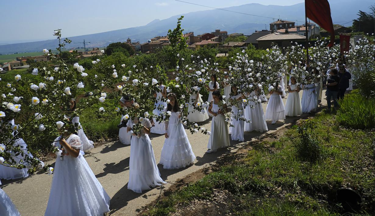 Las Doncellas (gadis) berpakaian pengantin putih dikelilingi oleh bunga saat ambil bagian dalam ziarah The Maidens di Sorzano, Spanyol, 15 Mei 2022. Menurut tradisi kuno, ziarah The Maidens bertujuan untuk menghormati musim semi dan kesuburan wanita. (AP Photo/Alvaro Barrientos)