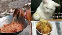 6 Potret Hewan Makan Mi Instan Ini Bikin Geleng Kepala (FB Kucing Gwe 1cak)