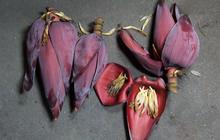 Mitos Makan Jantung Pisang, Perlindungan Sihir hingga Badai