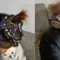 6 Potret Ikat Rambut dari Ular Ini Bikin Bergidik, Ngeri Banget (Doisongphaplua)