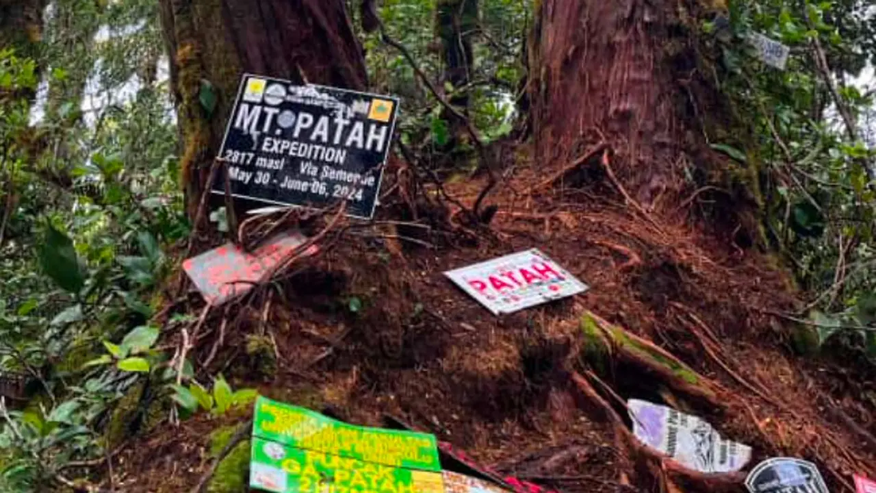 Salah satu sisi Hutan Lindung Raja Mendara, di Gunung Patah. (Istimewa)