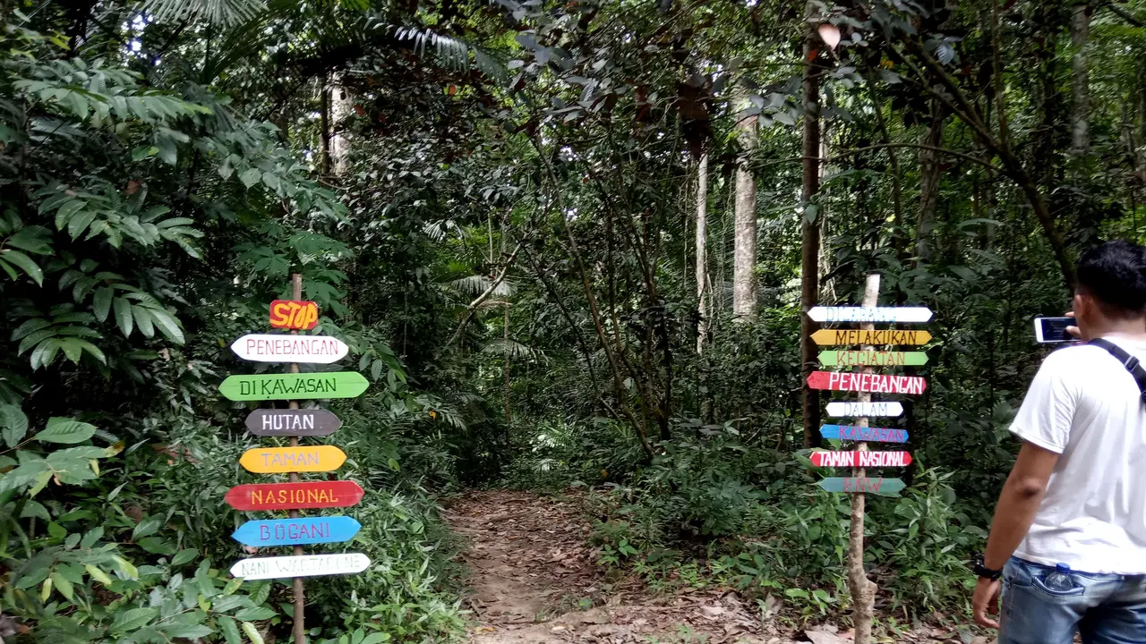 Wisata alam penangkaran burung maleo