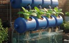 7 Cara Membuat Aquaponik Galon Kombinasi Lele dan Pakcoy, Solusi Berkebun di Lahan Terbatas