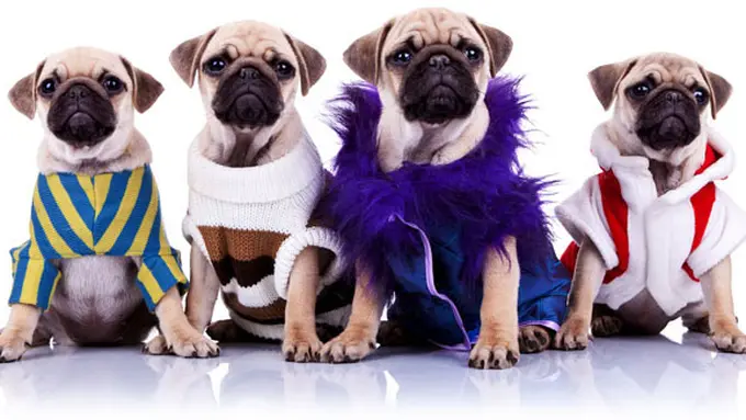 (c) shutterstock.com