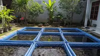 11 Ide Ternak Skala Rumahan yang Bisa Menjadi Aktivitas Produktif Masa Pensiun