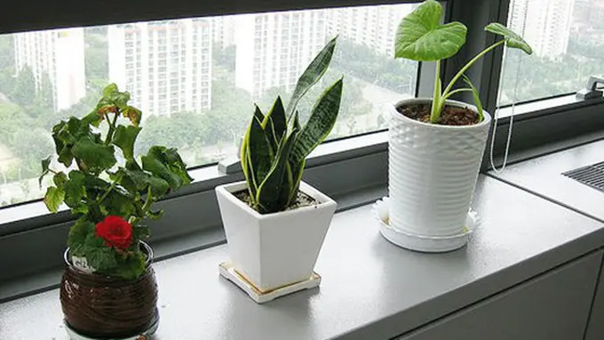 foto: copyright philstar.com