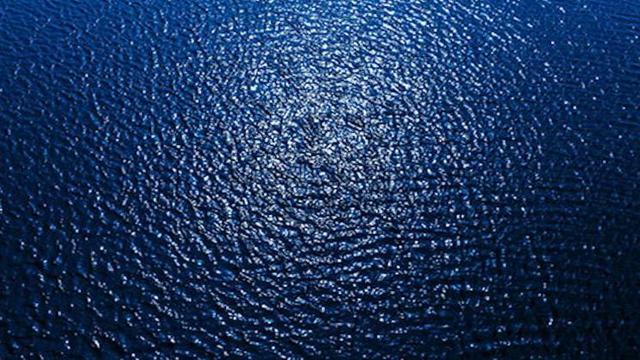 Bakteri Pemakan Minyak