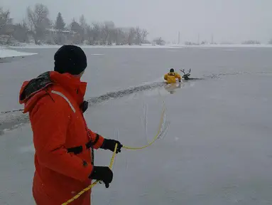 Foto yang diunggah Senin (22/1), petugas pemadam kebakaran dari West Metro Fire Rescue menyelamatkan seekor rusa yang terjebak dalam danau es di Colorado, AS. Petugas itu memberanikan diri menerjang dinginnya danau es.  (facebook.com/WestMetroFireRescue)