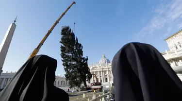 Dua biarawati melihat sebuah derek yang dikerahkan untuk mendirikan pohon Natal raksasa di Alun-alun Santo Petrus, Vatikan, Kamis (23/11). Pohon Natal yang didatangkan dari Polandia ini tingginya mencapai 28 meter. (AP Photo/Andrew Medichini)